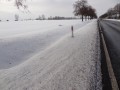 ogłoszenie