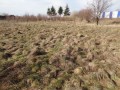 ogłoszenie