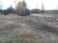 ogłoszenie