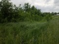 ogłoszenie