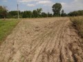 ogłoszenie