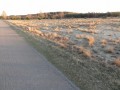 ogłoszenie