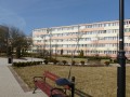 ogłoszenie