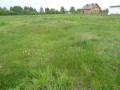 ogłoszenie