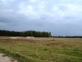 ogłoszenie