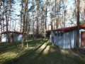 ogłoszenie