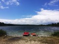 ogłoszenie