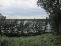 ogłoszenie