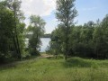 ogłoszenie