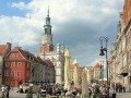 ogłoszenie