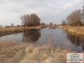 ogłoszenie