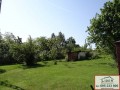 ogłoszenie