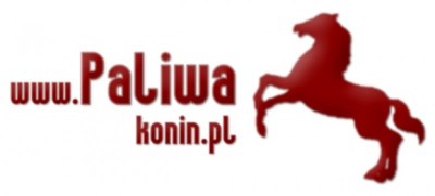 * www.paliwakonin.pl *
