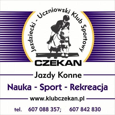 Nauka jazdy konnej Konin