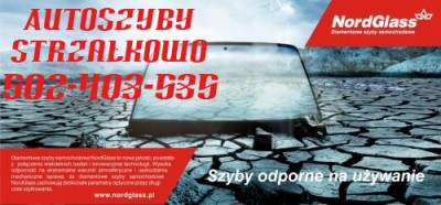 Auto Szyby Strzałkowo