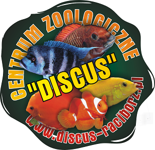 Internetowy Sklep Zoologiczny DISCUS