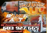 BANER ART