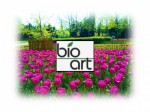 BIO-ART - Projektowanie i Budowa Ogrodów