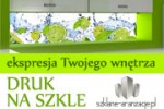 Szklane-Aranżacje.pl Eyala Art Studio