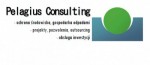 Pelagius Consulting - Krzysztof Czechowski
