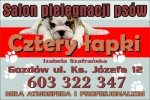 Salon Pielęgnacji Psów