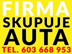 Skup Aut Autostrefa