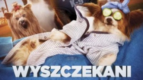 Wyszczekani / dubbing