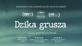 Dzika grusza