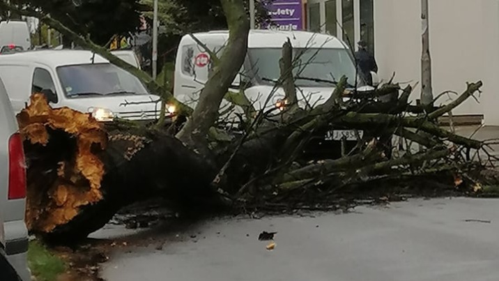 Silny wiatr w powiecie konińskim. Strażacy mają pełne ręce roboty