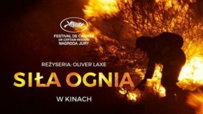 Siła ognia