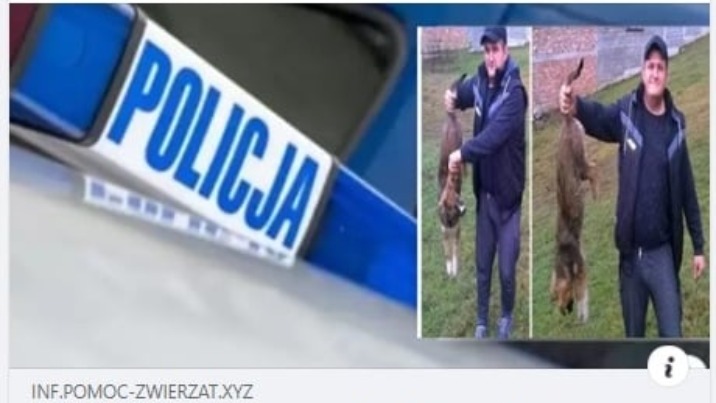 Policja ostrzega przed oszustami wyłudzającymi dane w internecie