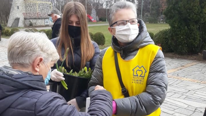 Konin. Żonkile Nadziei. Wiosenne kwiaty wsparciem dla hospicjum