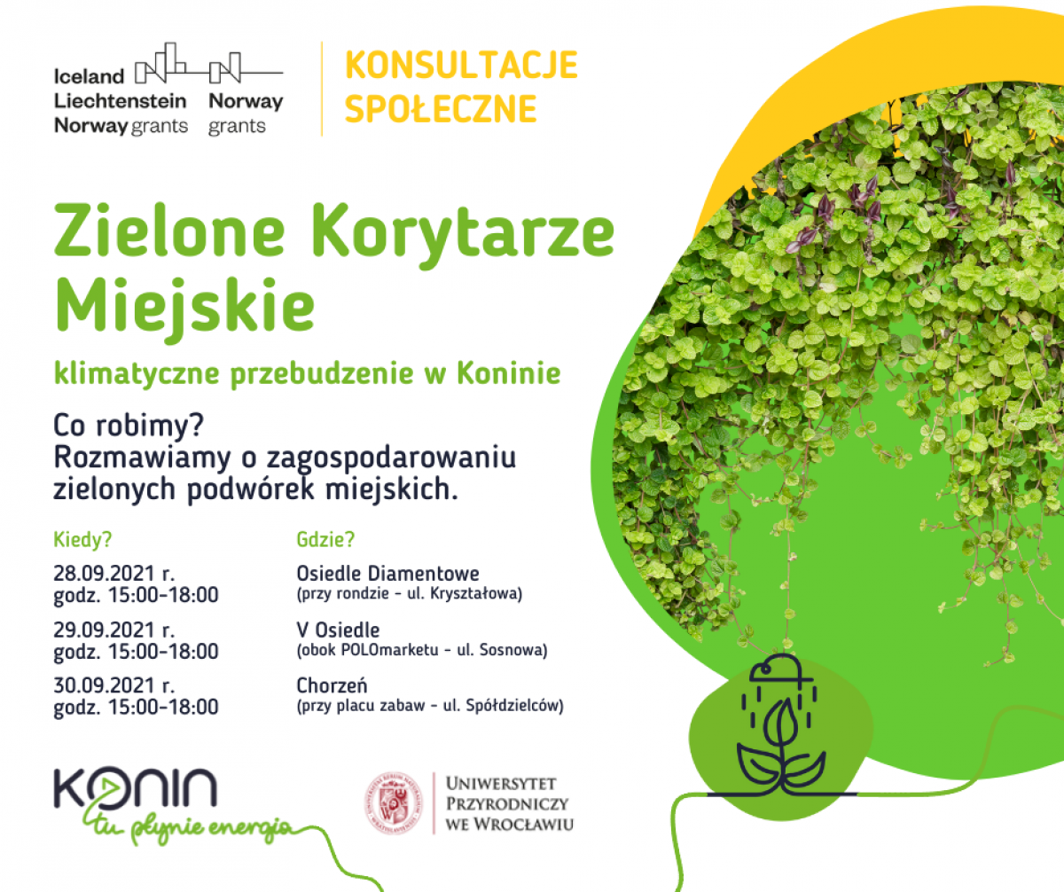 Konin. Trzydniowe konsultacje o zielonych podwórkach miejskich