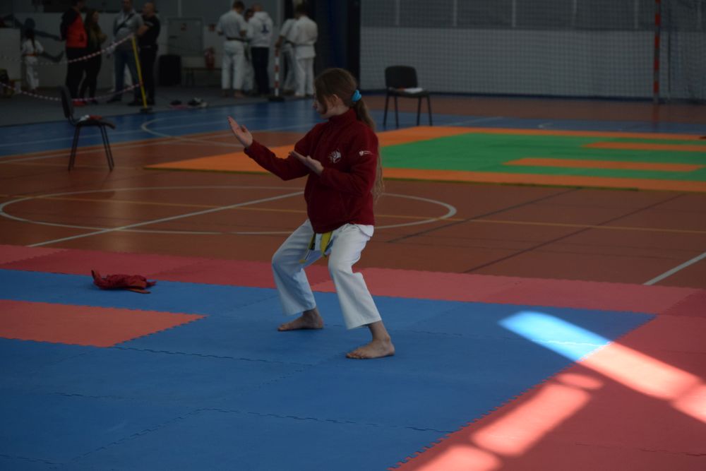 Karate ma się dobrze. Potwierdził to turniej w Golinie