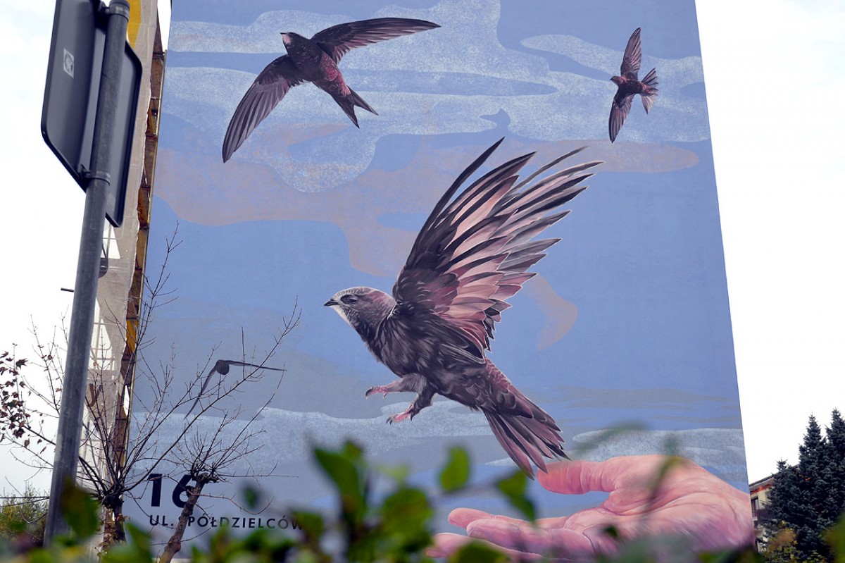 Ptasi mural na turkowskim osiedlu. Mieszkańcy mogą być dumni