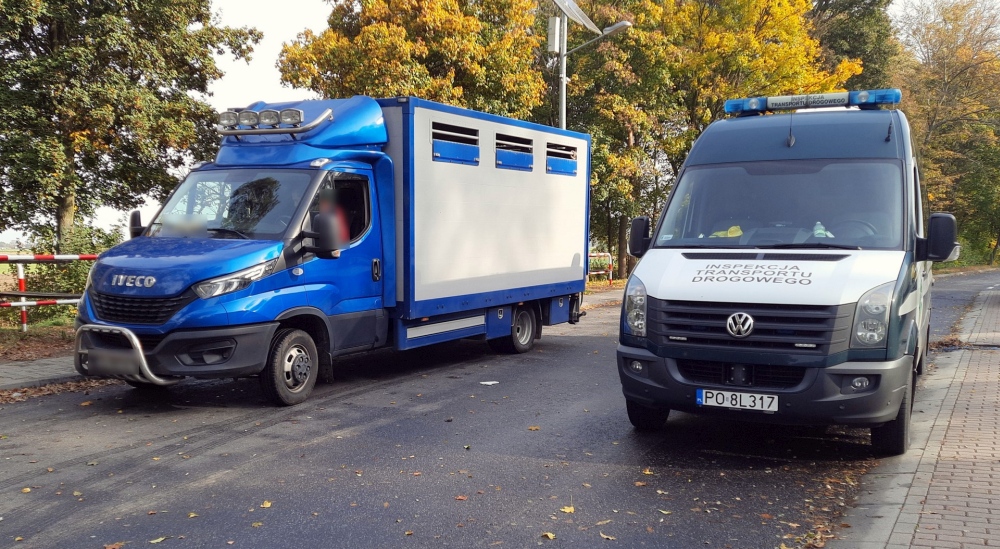 Przerobiony bus był zbyt ciężki. Zatrzymali go inspektorzy transportu drogowego