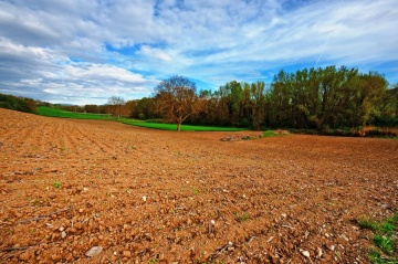 Ślesin - Kupię grunt rolny