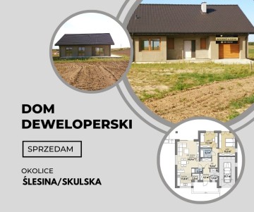 Dom deweloperski – Okolice Ślesina