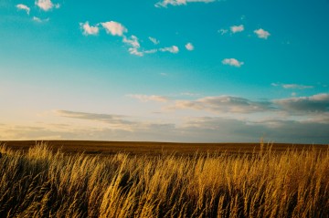 Skulsk - Kupię grunt rolny