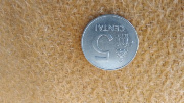Moneta Litwa, 5 centai 1991