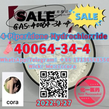 4-Piperidone Hydrochlorride40064-34-4WhatsApp＋8 6 17136598550