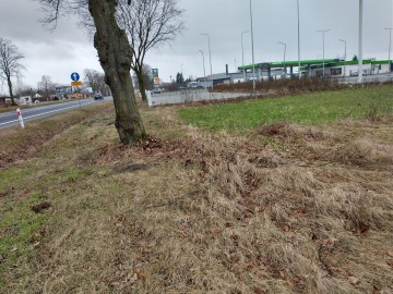 Działka inwestycyjna+budowlana 6200 m2