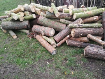 Drewno sosnowe grube