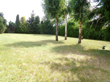 Okolice Konina – Domek nad jeziorem