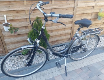 Damka miejska Mutlicycle