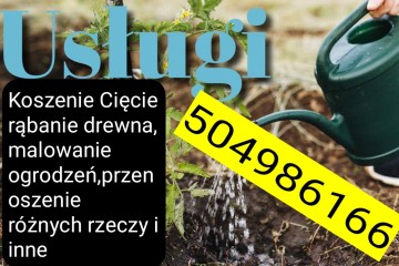 Oferuję usługi koszenie trawy rąbanie drewna malowanie ogr i