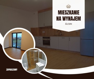 WYNAJMĘ MIESZKANIE W ŚLESINIE