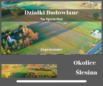 Okolice Ślesina – Działki Budowlane z Warunkami zabudowy