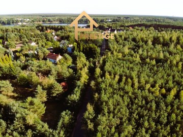 Działka leśna w Żółwieńcu gmina Ślesin