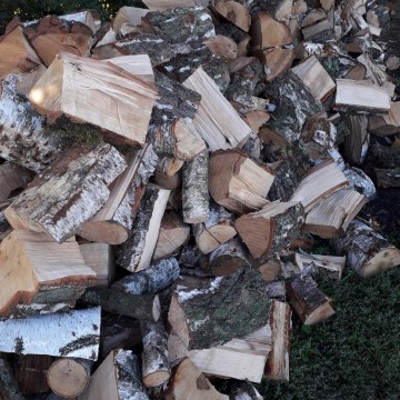 Sosna opałowa i drewno kominowe